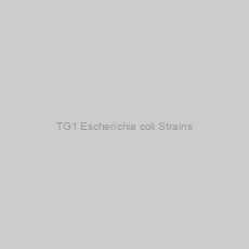 Image of TG1 Escherichia coli Strains